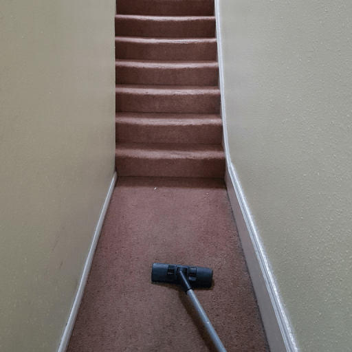 Communal Area Cleaning.
