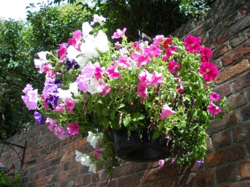 image2