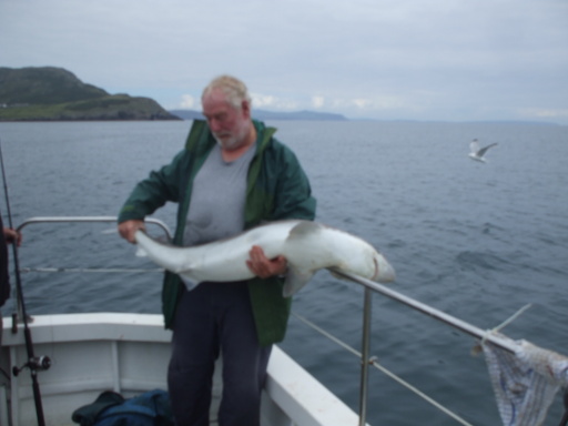 60lb tope caught on the judy b