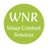 Wasp Control Hampshire