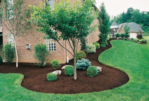 image0