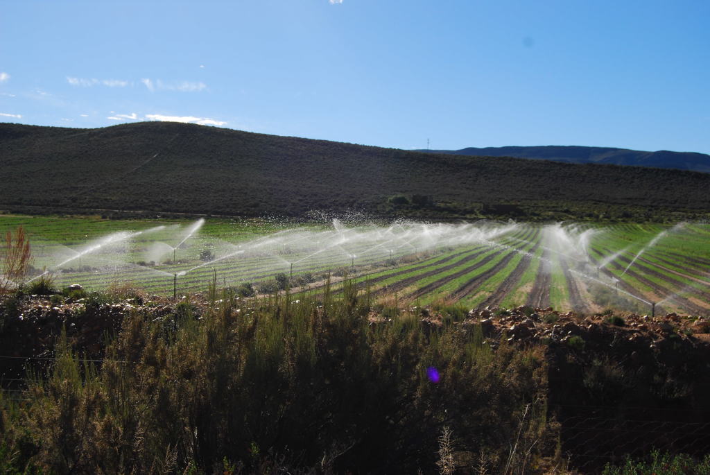 watermark Irrigation & Pump Specialists Chard rd, Southern Suburbs