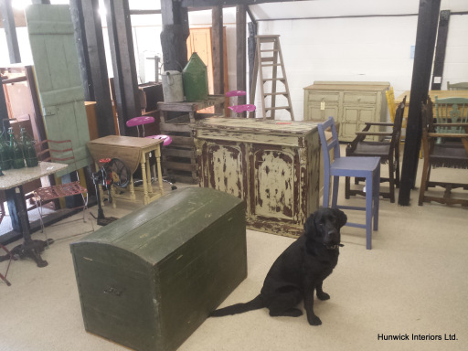 Tyke the shop dog inspect the vintage and industrial furniture display