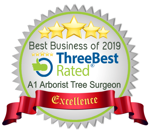 Best rated 2019