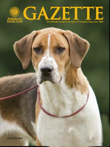 One of our Foxhounds gracing the front cover of the American Kennel Gazette