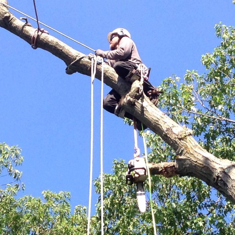 ASC Tree Service 128 Island Pond Rd, Derry, NH, 03038