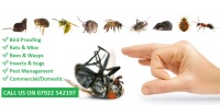 Arimos Pest Control Ltd