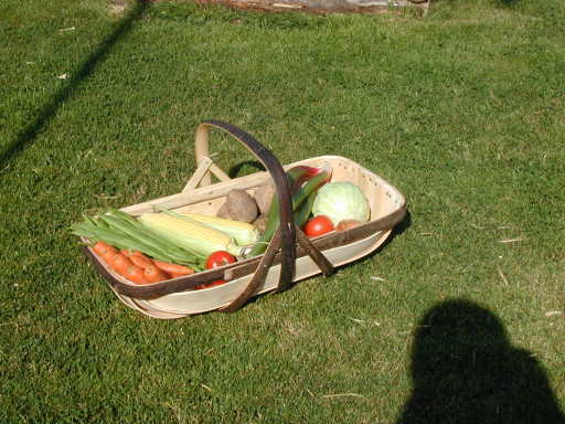 Royal Sussex Traditional Garden Trug - No.8 with straps