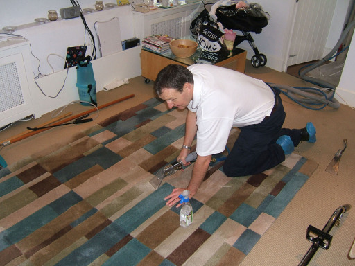 Rug Cleaning, Spot and Stain Removal
