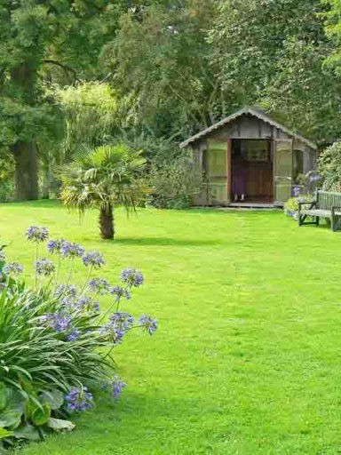 Grass seeds for lawns, sports and paddocks.