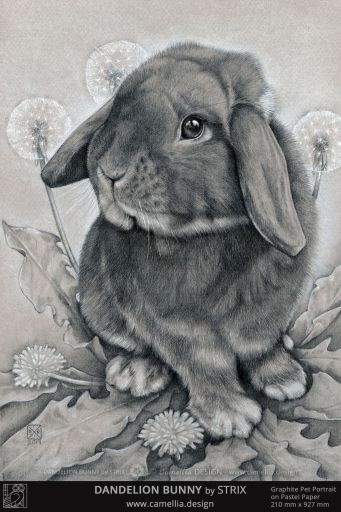 DANDELION BUNNY by STRIX