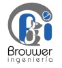 BROUWER INGENIERÍA S DE RL DE C.V.