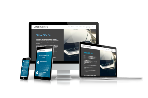 Anticipate website