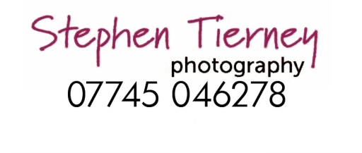 Essex Wedding Portrait party &amp; event photographer