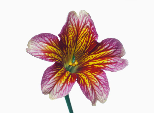 image0