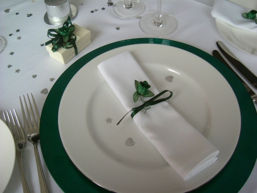 Aqua Colour Charger Plate