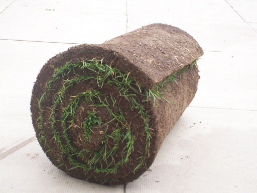 castle eden turf