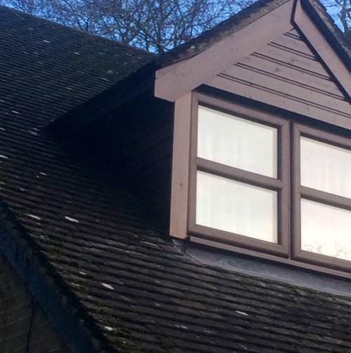 image1