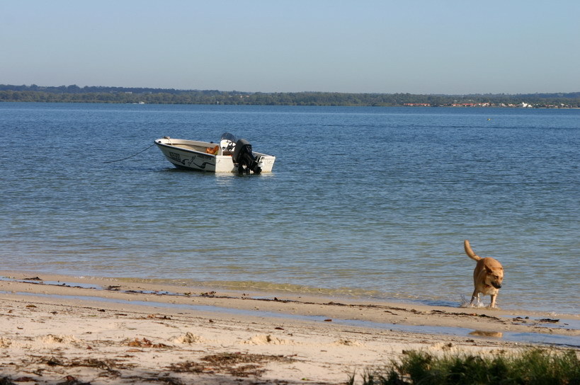 T.Barclay Real Estate 4/36 Southsea Tce, Macleay Island, 4184