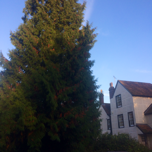 image0