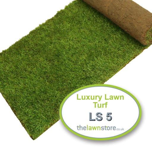 LS5 Luxury Lawn Turf