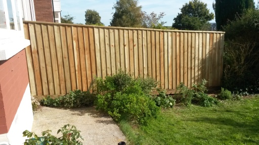 Featheredge fencing in Crediton