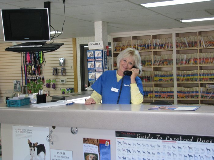 VCA All Our Pets Animal Hospital