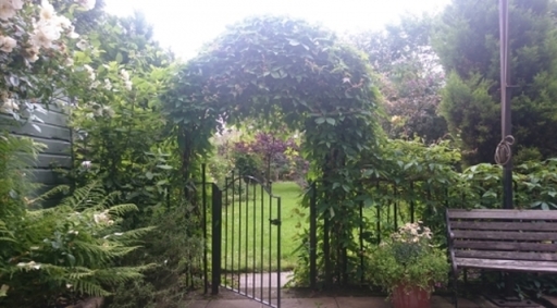 image1