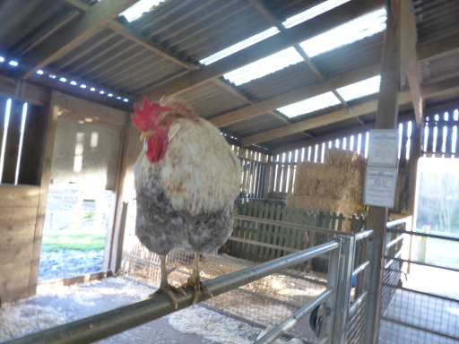 image1