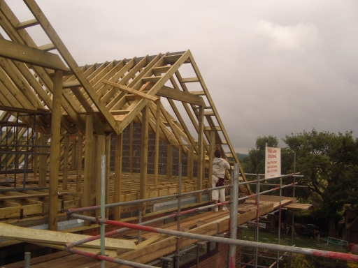 Cut roofs