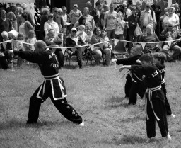 Open air martial arts demo