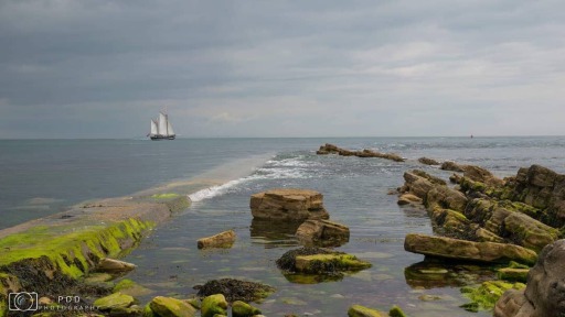 Come Sail With Us! A picture speaks a thousand words, Memories made on board will last forever.