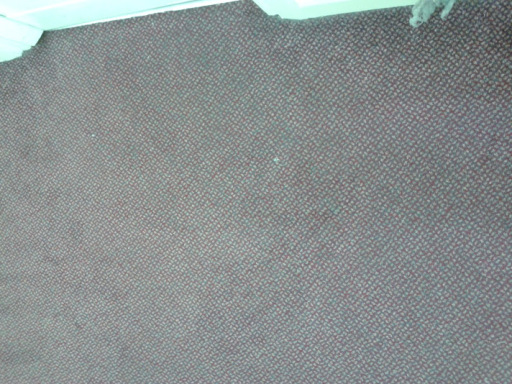 Carpet cleaning manchester