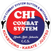 Chi Combat System Martial Arts Sutton & Cheam Branch