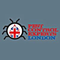 The Pest Control Experts