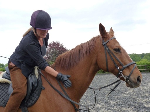 Equine services