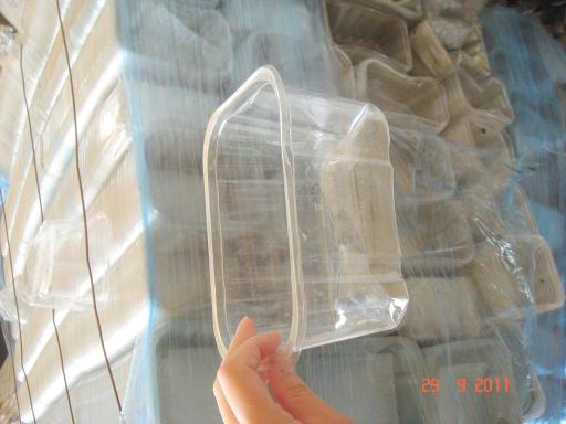 tray