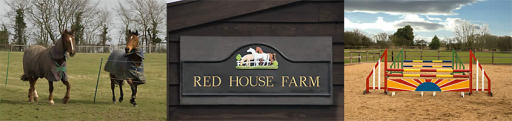 Red House Farm Livery for happy, relaxed and contented horses and owners