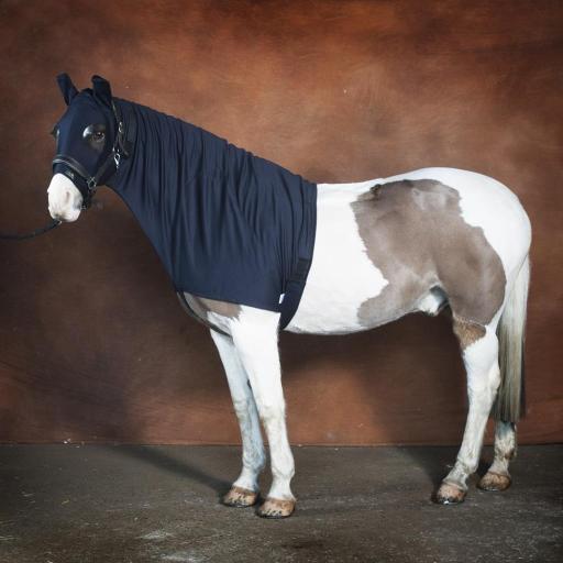 hoods for horses