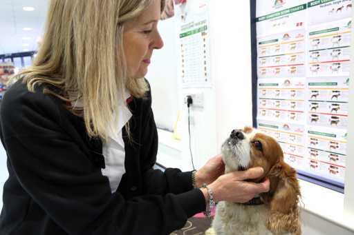 Consultation at Scarsdale Vets Park Farm branch