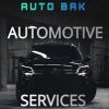 Auto BAK Ltd