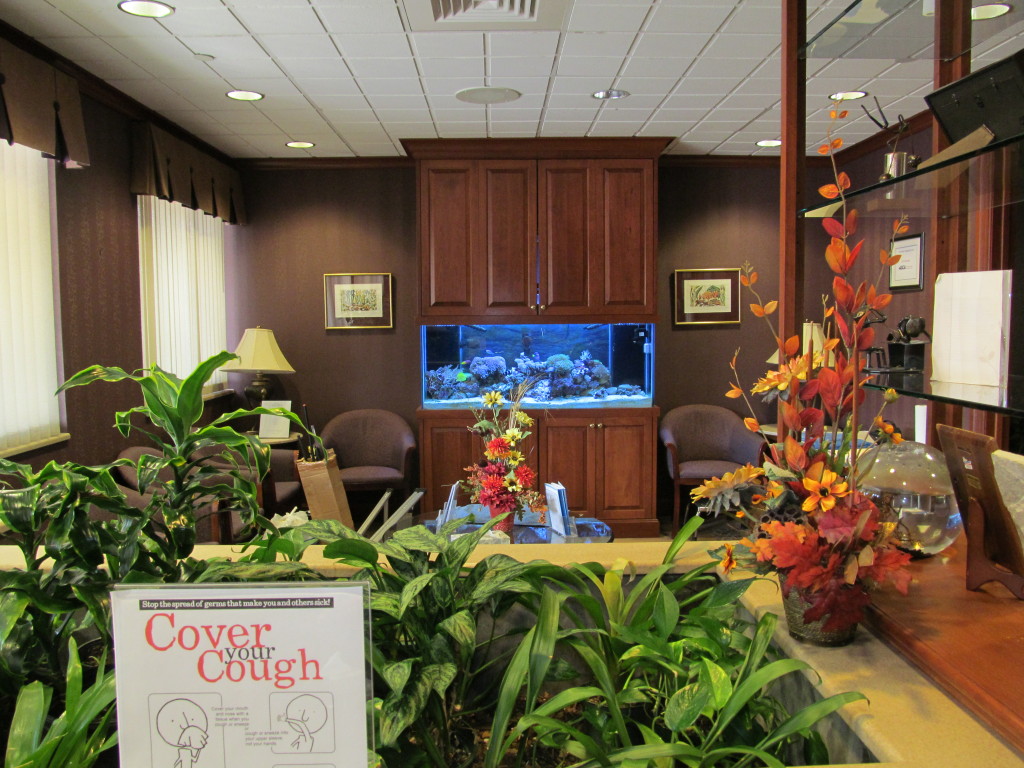 aquarium environments 5000 linlgestown road, harrisburg, PA, 17112