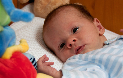 Little newborns