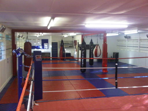 THE GYM