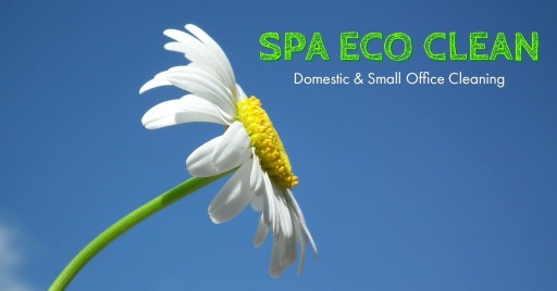 We will leave your property feeling as fresh as a Daisy