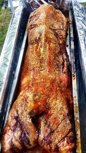 hog roasts