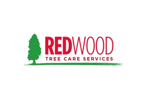 company logo for REDWOOD Tree Care