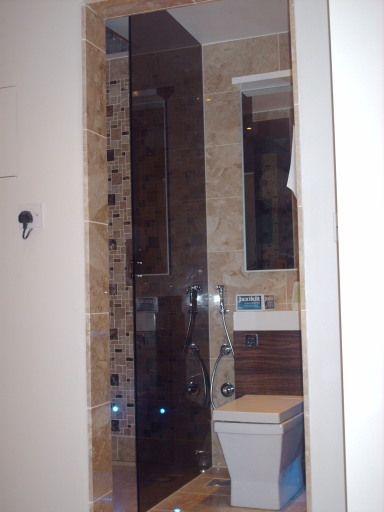 Shower screen