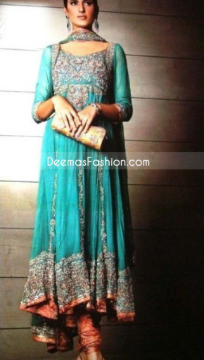 Rust seagreen kali style heavy embroidered border pure chiffon frock