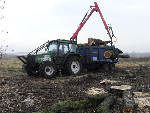 Timber removal off site